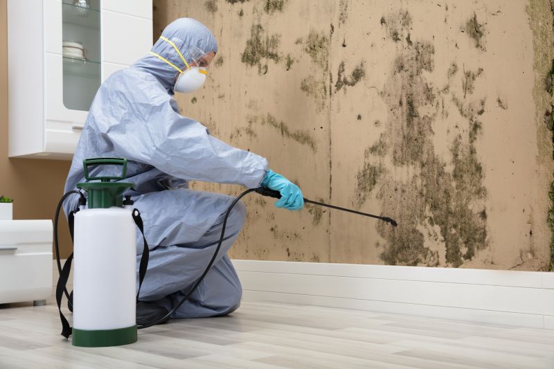 Algae and Mold Removal
