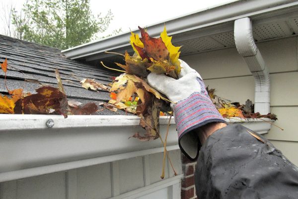 Eaves Cleaning in Bonita Springs