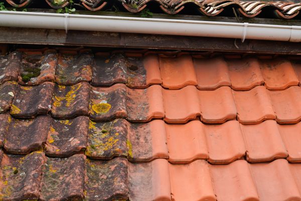 Cost of Industrial Roof Cleaning in Bonita Springs